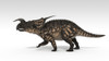 Einiosaurus dinosaur, white background Poster Print - Item # VARPSTKVA600731P