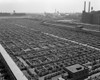 1950s Aerial View Of Cattle Pens At The Union Stock Yard & Transit Company Chicago Il Usa Print By Vintage Collection - Item # PPI179062LARGE