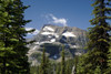 Mountain Peak Framed Between Trees Under A Blue Sky; Waterton, Alberta, Canada PosterPrint - Item # VARDPI1883407