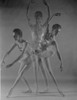 Young ballet dancer  multiple image Poster Print - Item # VARSAL255419179
