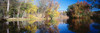 Reflection of trees in a lake, Biltmore Estate, Asheville, North Carolina, USA Poster Print - Item # VARPPI33956