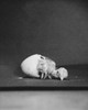 Baby chick hatching Poster Print