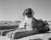 1950s The Sphinx At The Giza Pyramids Cairo Egypt Poster Print By Vintage Collection (22 X 28) - Item # PPI178792LARGE