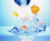 Multicolored seashells and water bubbles in churning water Poster Print by Panoramic Images (24 x 20) - Item # PPI118001