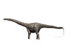 Diplodocus dinosaur, white background Poster Print - Item # VARPSTNBT600094P