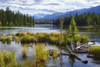 Beauvert Lake, Jasper National Park; Jasper, Alberta, Canada PosterPrint - Item # VARDPI12305295