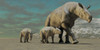 A rhinoceros-like Paraceratherium mother with two twin calves walks along a stoney desert in the Oilgocene Era Poster Print - Item # VARPSTCFR200089P