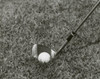 Close-up of a golf club and a golf ball Poster Print - Item # VARSAL2553677