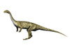 Saturnalia is a prosauropod dinosaur from the Triassic period Poster Print - Item # VARPSTNBT100180P