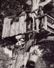 Low angle view of a boy pulling a dog up to a treehouse in a bucket Poster Print - Item # VARSAL2553311