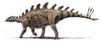 The basal stegosaurid Tuojiangosaurus multispinus, from Shishugou, China. Oxfordian, Late Jurassic. Poster Print - Item # VARPSTRGM600019P