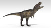 Tyrannosaurus Rex, white background Poster Print - Item # VARPSTKVA600766P