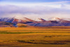Arctic Circle, Fall Colours And Richardson Mountains Along Dempster Highway, Yukon PosterPrint - Item # VARDPI2049221