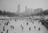 USA  New York State  New York City  Central Park  Wollman Memorial Skating Rink Poster Print - Item # VARSAL255422632