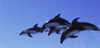 http://c328301.r1.cf1.rackcdn.com/PPI137109L.jpg