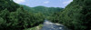 River passing through a forest, Pigeon River, Cherokee National Forest, Tennessee, USA Poster Print - Item # VARPPI25072