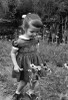 Girl picking up daises Poster Print - Item # VARSAL255423000 Girl picking up daises Poster Print - Item # VARSAL255423000