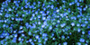 http://c328301.r1.cf1.rackcdn.com/PPI83058S.jpg