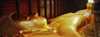 http://c328301.r1.cf1.rackcdn.com/PPI83731L.jpg