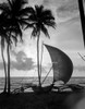 1930s Single Catamaran On Tropical Beach At Sunset Palm Trees Sri Lanka Poster Print By Vintage Collection (22 X 28) - Item # PPI195642LARGE