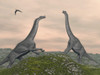 Two Brachiosaurus dinosaurs fighting Poster Print - Item # VARPSTEDV600136P