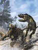 Ankylosaurus hits Tyrannosaurus rex with it's clubbed tail in self-defense Poster Print - Item # VARPSTKRT600002P