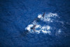 Hawaii, Maui, Humpback Whales, Aerial View. PosterPrint - Item # VARDPI1982790