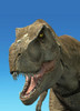 3D rendering of Tyrannosaurus Rex, close-up Poster Print - Item # VARPSTVET600001P