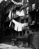 1930s Tenement Building With Laundry Hanging On Clotheslines I Poster Print By Vintage Collection (22 X 28) - Item # PPI177107LARGE