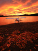 A Float Plane Facing The Sunrise Over Teslin Lake, Yukon PosterPrint - Item # VARDPI2040950