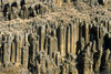 Columnar Basalt, British Columbia, Canada PosterPrint - Item # VARDPI2023938