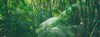 http://c328301.r1.cf1.rackcdn.com/PPI150860S.jpg