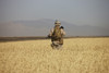 U.S. Marine patrols a wadi near Konduz, Afghanistan clearing it for a range exercise Poster Print - Item # VARPSTTMO100291M