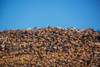 Stack of firewood pile against blue sky Poster Print - Item # VARPPI169591