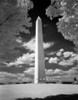 Infrared Photograph Of Washington Monument Washington Dc Usa Poster Print By Vintage Collection (22 X 28) - Item # PPI178899LARGE