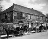 Two horse carriages in front of a house  Gonzalez-Alvarez House  St. Augustine  Florida  USA Poster Print - Item # VARSAL25544969