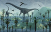 Diplodocus dinosaurs at the start of a new day during the Jurassic period of time Poster Print - Item # VARPSTMAS100292P
