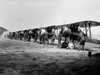 1918 Flight Line Of American Expeditionary Force Pilots And Sopwith Camel Wwi Biplanes Print By Vintage Collection - Item # PPI195743LARGE