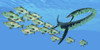 An Elasmosaurus marine reptile hunts a school of bocaccio fish in Cretaceous seas Poster Print - Item # VARPSTCFR200389P