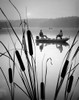 1980s Two Silhouetted Men In Bass Fishing Boat On Calm Water Lake Cattails In Foreground Print By Vintage Collection - Item # PPI176607LARGE