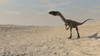 Coelophysis walking across a barren desert Poster Print - Item # VARPSTKVA600097P