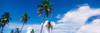 http://c328301.r1.cf1.rackcdn.com/PPI44785L.jpg