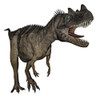 Ceratosaurus dinosaur roaring, white background Poster Print - Item # VARPSTEDV600271P