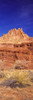 http://c328301.r1.cf1.rackcdn.com/PPI163884S.jpg