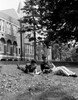 Two student lying on lawn and learning Poster Print - Item # VARSAL255419327