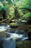 Waterfall Norway Poster Print - Item # VARPPI66147