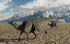 A pair of Velafrons hadrosaurid dinosaurs from the Cretaceous Period Poster Print - Item # VARPSTMAS100923P