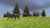 Group of Gigantoraptors running across an open field Poster Print - Item # VARPSTKVA600472P