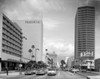 USA  California  Los Angeles  Wilshire Boulevard  street view Poster Print - Item # VARSAL255421505