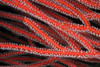Detailed close-up view of soft coral polyps feeding, Fiji Poster Print - Item # VARPSTTMO400222U
